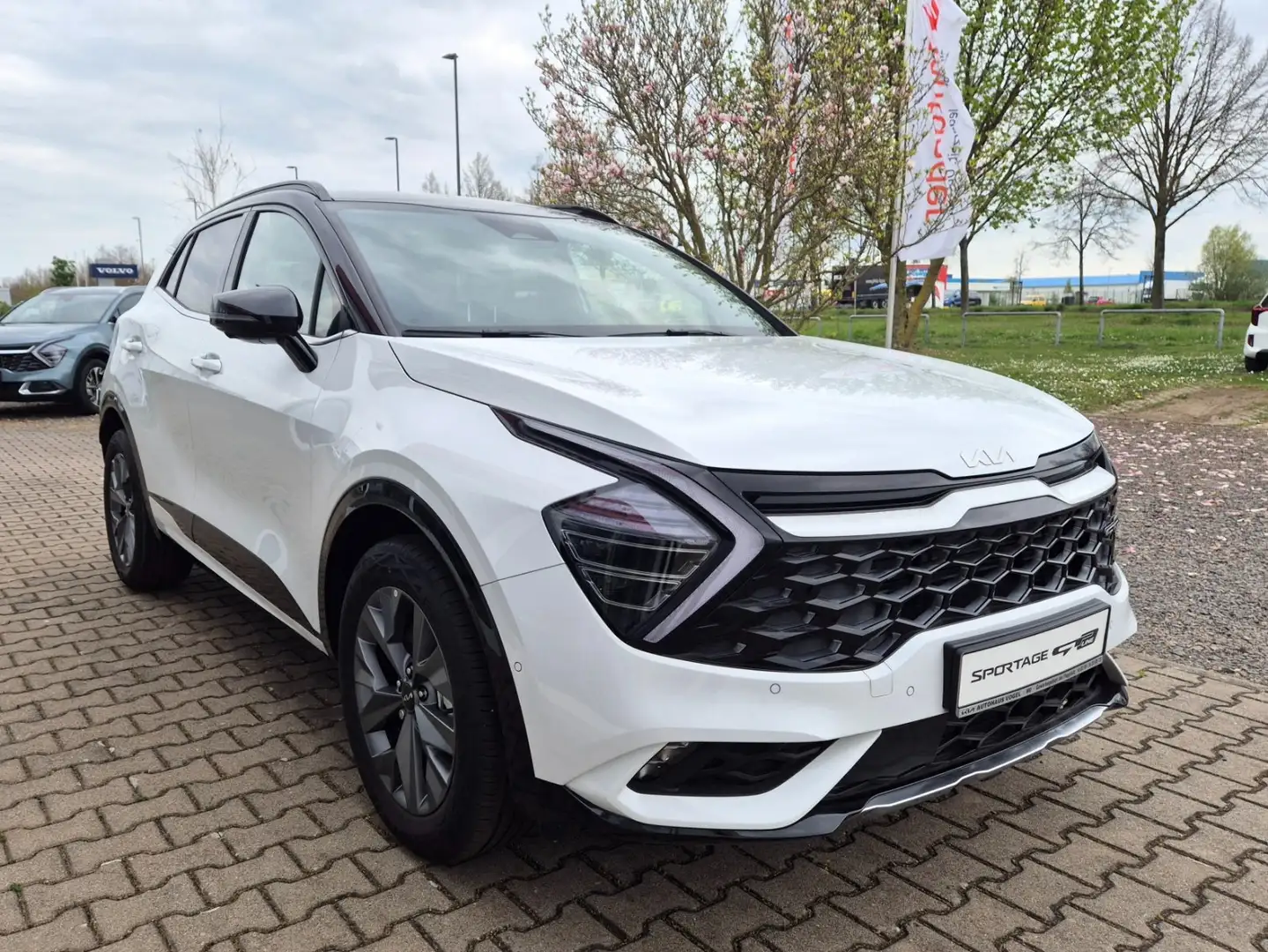 Kia Sportage 1.6 T-GDi GT-Line Hybrid 4WD DriveWise-Park-Plus Weiß - 2
