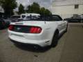 Ford Mustang 2.3 EcoBoost Cabrio Blanc - thumbnail 7