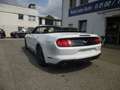 Ford Mustang 2.3 EcoBoost Cabrio Weiß - thumbnail 5