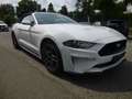 Ford Mustang 2.3 EcoBoost Cabrio Weiß - thumbnail 1