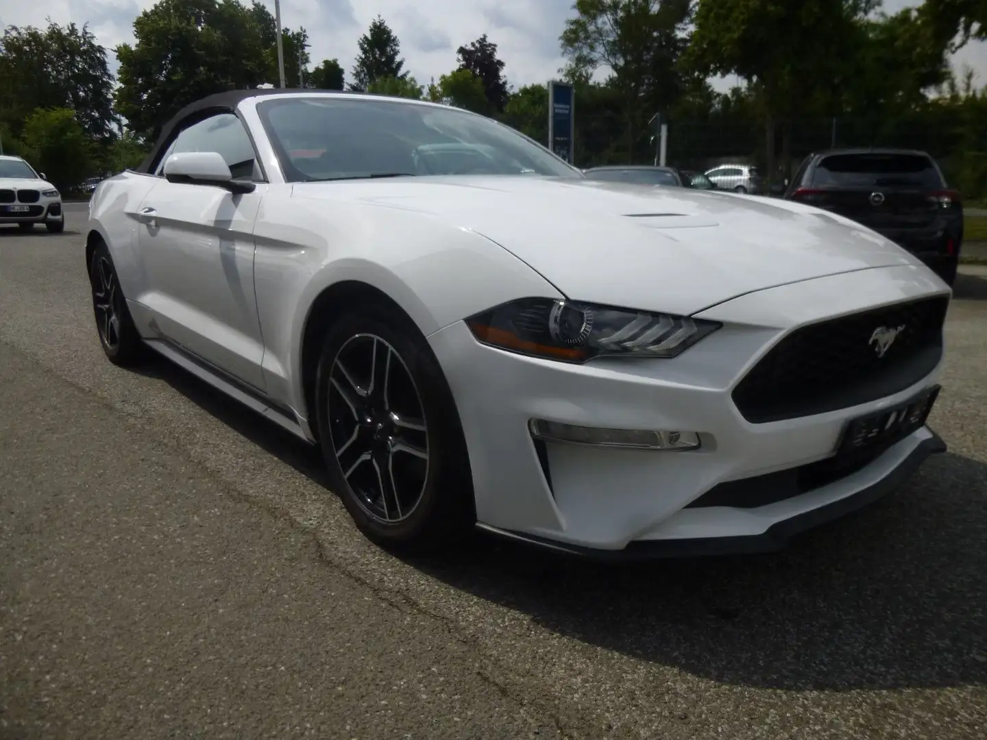 Ford Mustang 2.3 EcoBoost Cabrio Weiß - 1