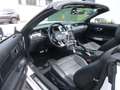 Ford Mustang 2.3 EcoBoost Cabrio Blanc - thumbnail 9