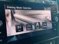 Volkswagen Golf 1.5 TSI Evo Sport DSG7 110kW Gris - thumbnail 23