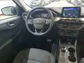 Ford Kuga Kuga 2.0 EcoBlue 4x4 Aut. TITANIUM AHK Bleu - thumbnail 5