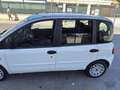 Fiat Multipla 1.6 16v Dynamic natural power - thumbnail 4
