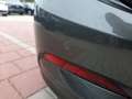 Ford Focus Turnier 1.0 Titanium AHK ACC Navi Kamera Gris - thumbnail 14