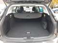 Ford Focus Turnier 1.0 Titanium AHK ACC Navi Kamera Gris - thumbnail 12