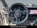 Porsche Macan GTS  Pano StHz 18W ACC Surround View Gris - thumbnail 15