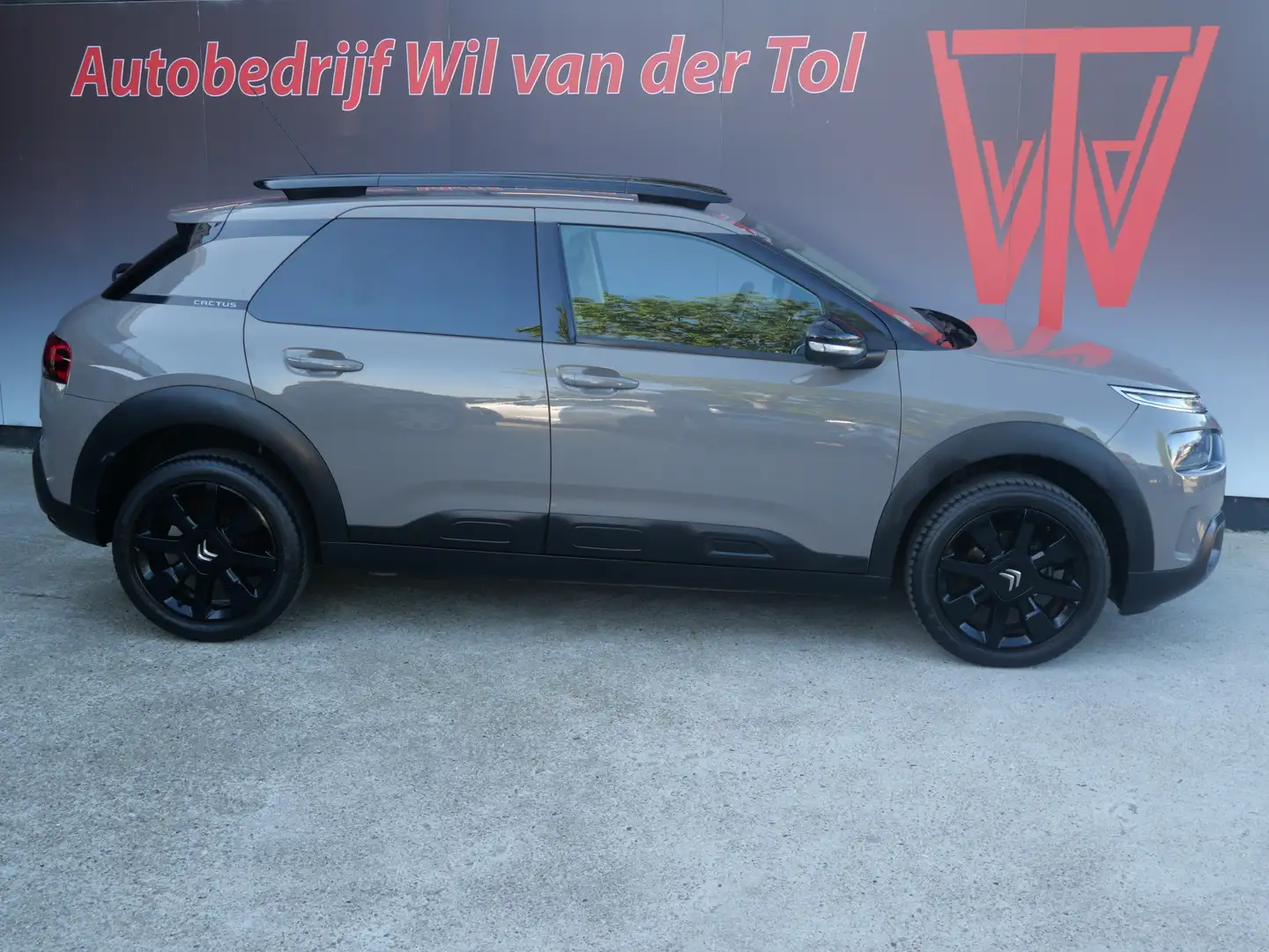 Citroen C4 Cactus 1.2 PureTech SHINE | CARPLAY | CRUISE | CAMERA | R Bruin - 1