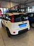Fiat Panda 1.0 Firefly Hybrid S&S City Life 70 CV Blanc - thumbnail 8