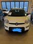 Fiat Panda 1.0 Firefly Hybrid S&S City Life 70 CV Blanc - thumbnail 1