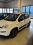 Fiat Panda 1.0 Firefly Hybrid S&S City Life 70 CV Blanc - thumbnail 2