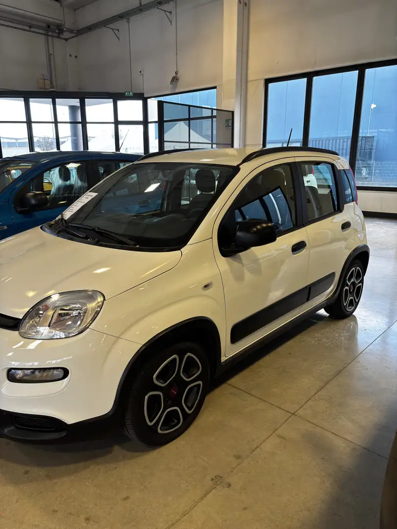 Fiat Panda 1.0 Firefly Hybrid S&S City Life 70 CV Blanc - 2