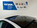 Alfa Romeo Giulia Veloce Q4 2.0 280PS *Schiebedach Premium* White - thumbnail 11