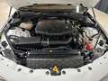 Alfa Romeo Giulia Veloce Q4 2.0 280PS *Schiebedach Premium* White - thumbnail 7