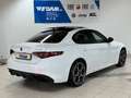 Alfa Romeo Giulia Veloce Q4 2.0 280PS *Schiebedach Premium* White - thumbnail 4
