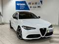 Alfa Romeo Giulia Veloce Q4 2.0 280PS *Schiebedach Premium* White - thumbnail 5
