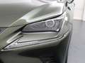 Lexus NX 300h AWD Ultimate Edition Stoelverwarming | Lederen bek Groen - thumbnail 22