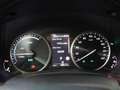 Lexus NX 300h AWD Ultimate Edition Stoelverwarming | Lederen bek Zielony - thumbnail 4