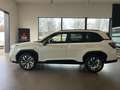 Subaru Forester 2,0i e-Boxer Premium AWD Aut. Weiß - thumbnail 4