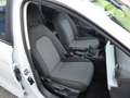 SEAT Ibiza 1,0 TSI Reference 95PS Weiß - thumbnail 15