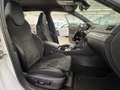 Skoda Superb Combi Sportline Weiß - thumbnail 19