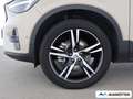 Volvo XC40 B3 Plus Dark 2WD BLIS/PANO/LHZ/DAB+/360Cam Beige - thumbnail 13