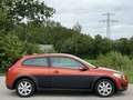 Volvo C30 1.6 Kinetic - Neues Pickerl - Wenig Kilometer Orange - thumbnail 6