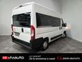 Citroen Jumper blueHDI SS Combi 33 L2H2 Blanco - thumbnail 13