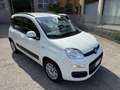 Fiat Panda Panda 1.2 - 39000 KM - Ok neopatentati Bianco - thumbnail 3