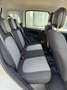 Fiat Panda Panda 1.2 - 39000 KM - Ok neopatentati Bianco - thumbnail 14