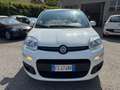 Fiat Panda Panda 1.2 - 39000 KM - Ok neopatentati Bianco - thumbnail 2