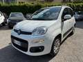 Fiat Panda Panda 1.2 - 39000 KM - Ok neopatentati Bianco - thumbnail 10