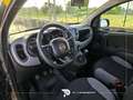 Fiat Panda 1.0 firefly hybrid City Life s&s 70cv 5p. Gris - thumbnail 7