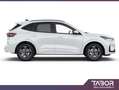 Ford Kuga 2.5 PHEV 243 eCVT ST-Line LED GPS Cam Blanc - thumbnail 2