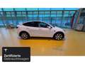 Tesla Model Y Long Range AWD Weiß - thumbnail 5