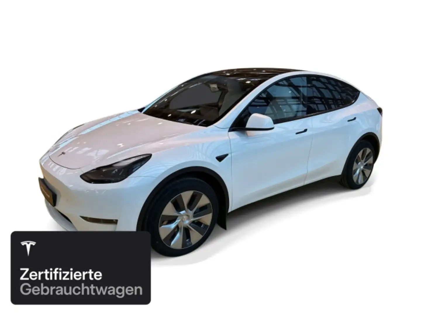 Tesla Model Y Long Range AWD Weiß - 1