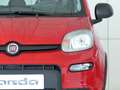 Fiat Panda Hybrid 1.0 51kw (70CV) Rojo - thumbnail 9