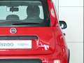 Fiat Panda Hybrid 1.0 51kw (70CV) Rojo - thumbnail 11