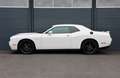 Dodge Challenger R/T 5.7/Sitzheizung/CarPlay/KAMERA/20 Blanc - thumbnail 4