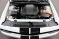 Dodge Challenger R/T 5.7/Sitzheizung/CarPlay/KAMERA/20 Blanc - thumbnail 24
