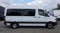 Mercedes-Benz Sprinter 313 (Stock ID 11844) Weiß - thumbnail 10