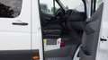 Mercedes-Benz Sprinter 313 (Stock ID 11844) Weiß - thumbnail 15
