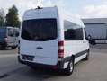 Mercedes-Benz Sprinter 313 (Stock ID 11844) Weiß - thumbnail 9