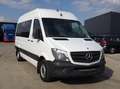 Mercedes-Benz Sprinter 313 (Stock ID 11844) Weiß - thumbnail 3