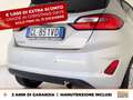 Ford Fiesta 5p 1.1 titanium 75cv Grau - thumbnail 17