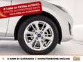 Ford Fiesta 5p 1.1 titanium 75cv Grau - thumbnail 14