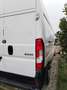 Peugeot Boxer Motore Cambio Frizione Nuova - thumbnail 4