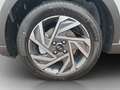 Hyundai BAYON FL (MY25) 1.0 T-GDI Trend, Komfortpaket LED*NAV... Gris - thumbnail 19