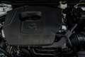 Mazda CX-30 2.5 e-Skyactiv-G Prime Line FWD 103kW Blanco - thumbnail 34